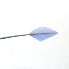 Pale Aqua Blue Arrow Head Feather